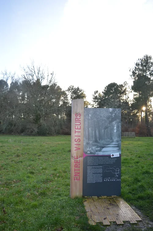 Balade à roulettes : Forêt de Migelane - La balade géologique