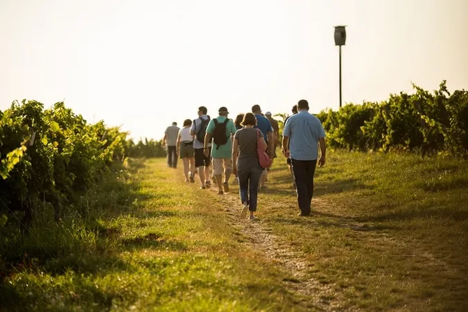 Vignerons de Buzet