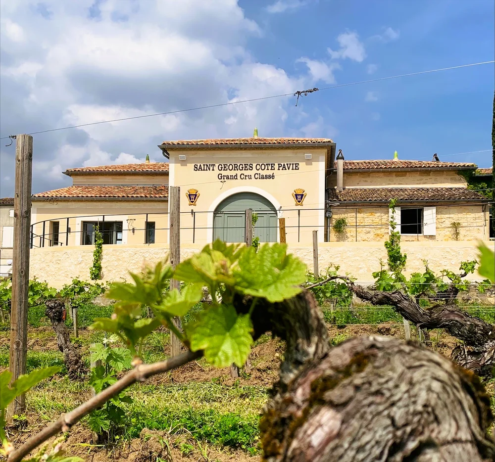 Château Saint-Georges Côte-Pavie