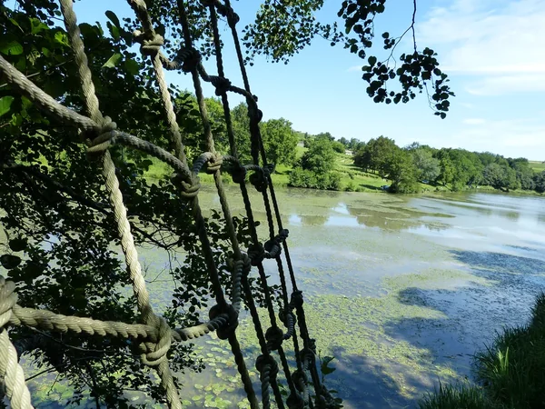 Lac aux Branches
