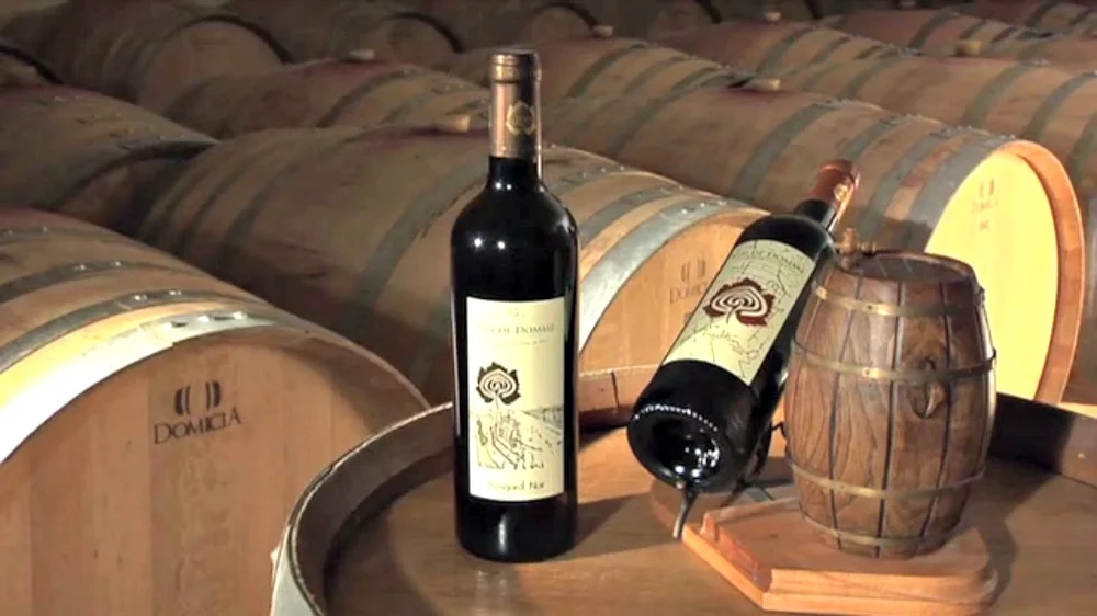 Cave du Vin de Domme