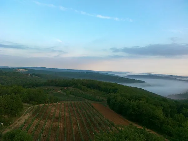 Cave du Vin de Domme