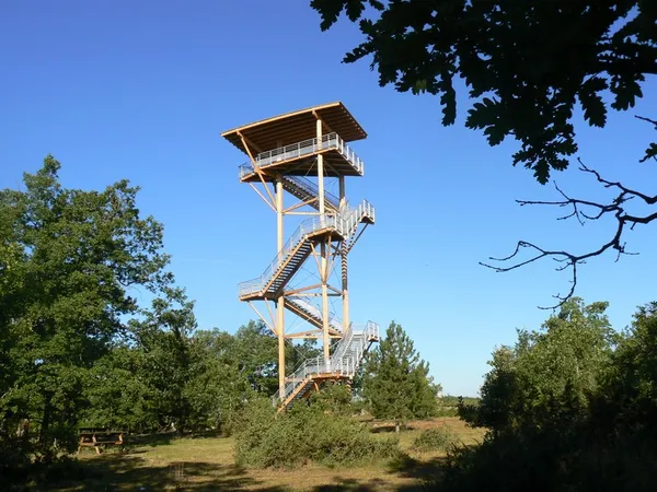 Cave du Vin de Domme