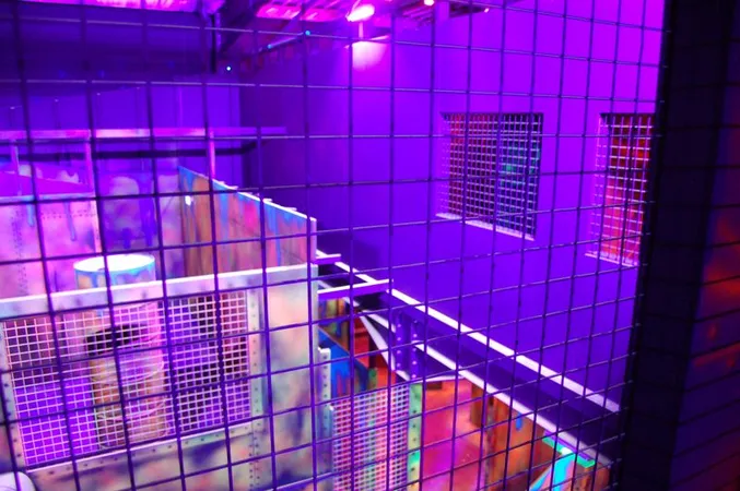 Laser Play - Laser Games