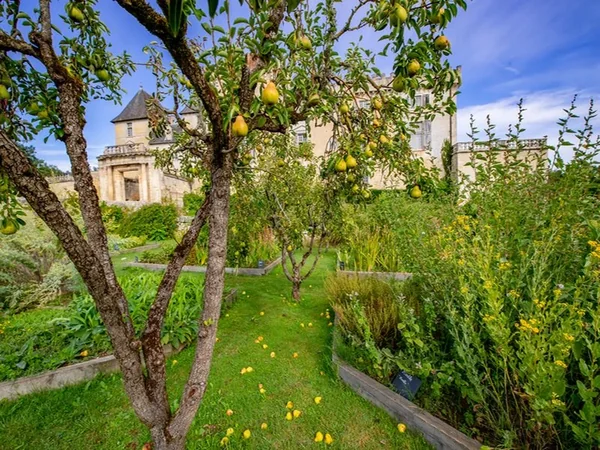 Parc du Château de Vayres