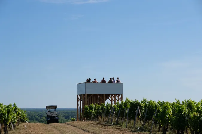 Château La Tour Blanche