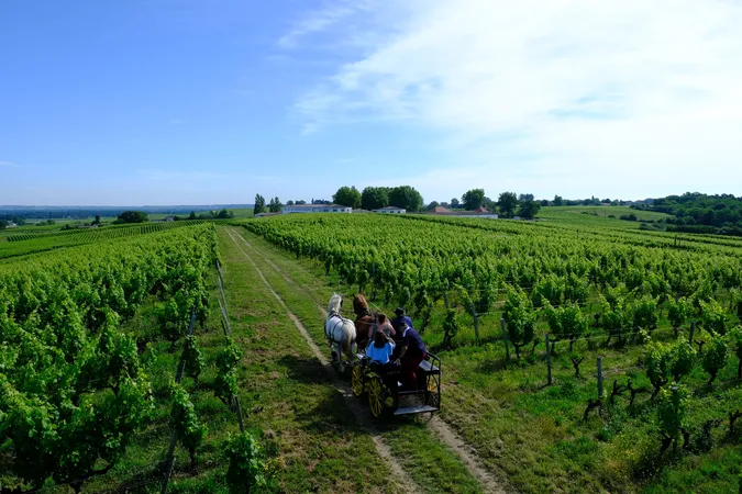 Château La Tour Blanche