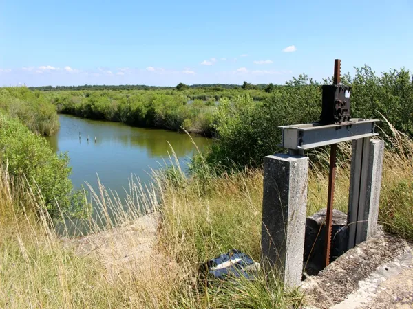 Au Teich, du Domaine de Fleury au Domaine des 4 paysans