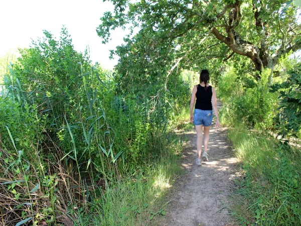 Au Teich, du Domaine de Fleury au Domaine des 4 paysans