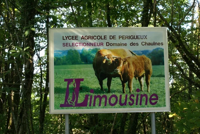 Ferme pédagogique du Domaine des Chaulnes