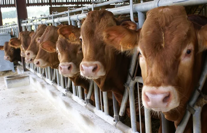 Ferme pédagogique du Domaine des Chaulnes