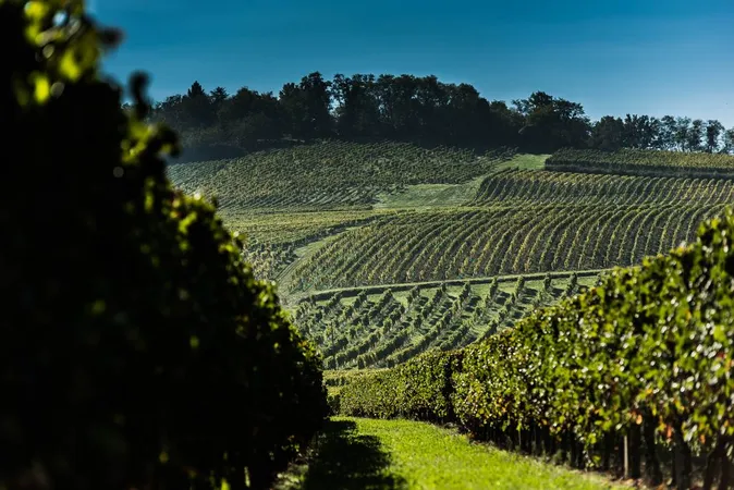 Château Haut Lamouthe
