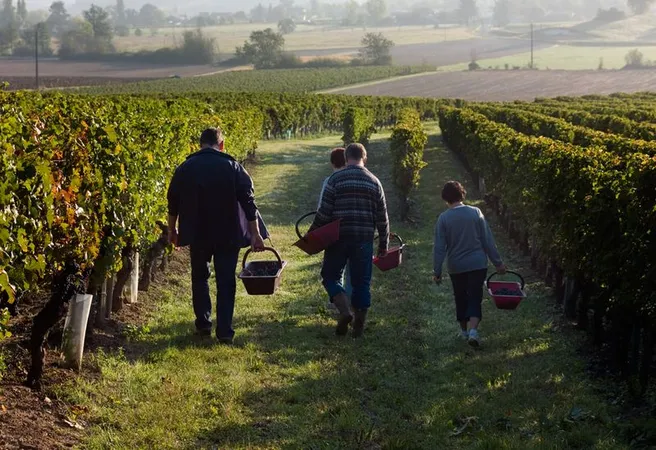 Les Vignerons de Sigoulès