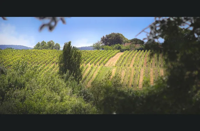 Domaine de Grange Neuve