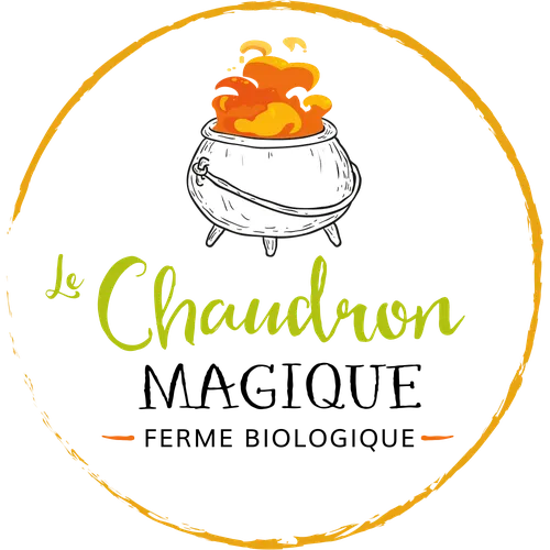 Le Chaudron Magique