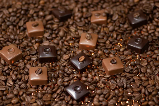 Les Bijoux du Chocolat