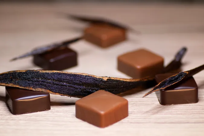 Les Bijoux du Chocolat