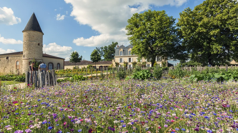 Château Guiraud