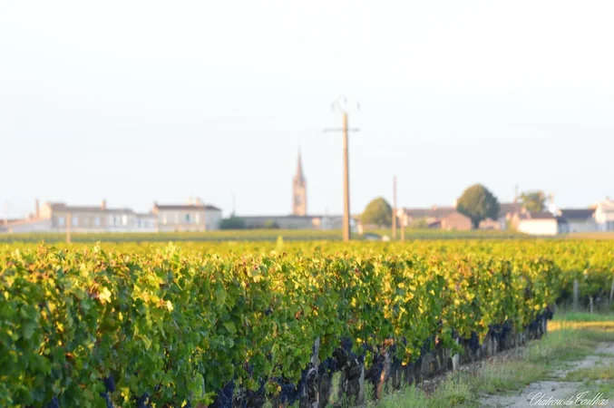 Château du Tailhas