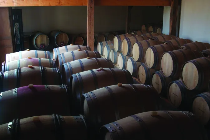 Château Carmenère