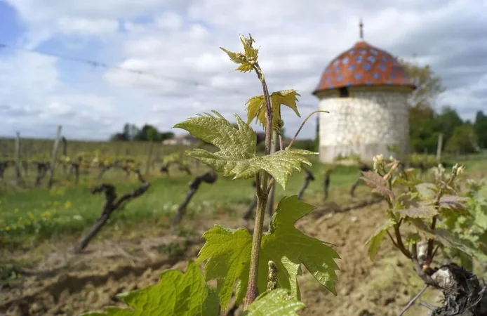 Château Malfourat