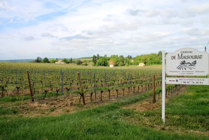 Château Malfourat