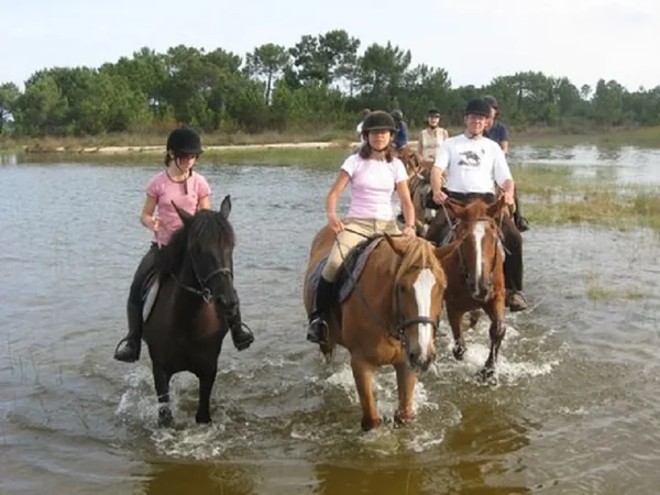 Centre Equestre du Cardin