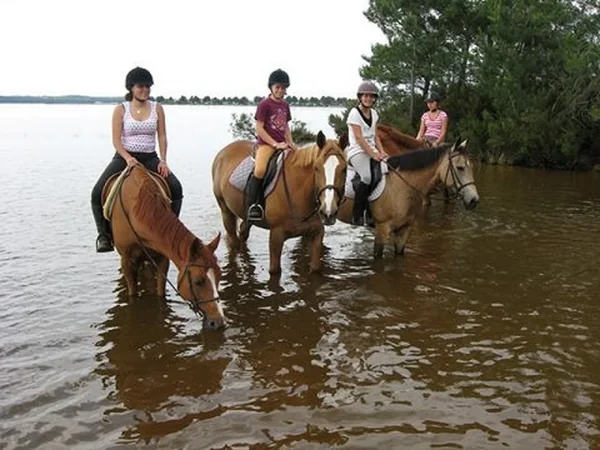 Centre Equestre du Cardin