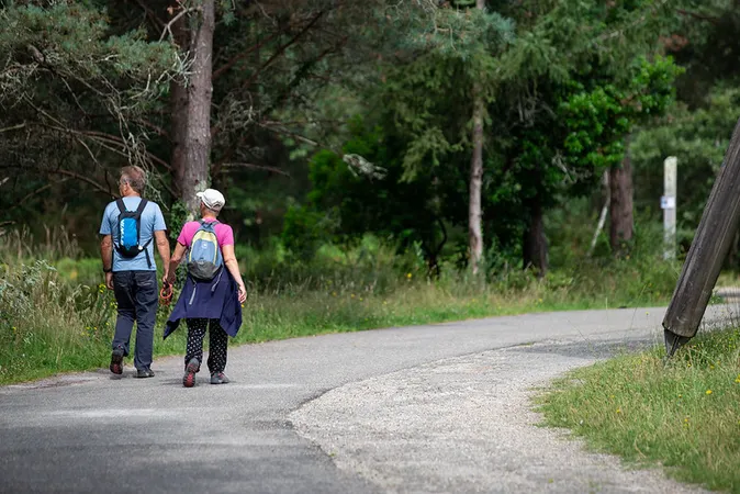 Balade à roulettes : La forêt du Bourgailh