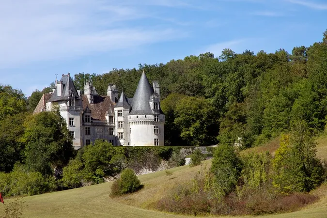 Château de Puyguilhem
