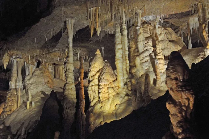 Grotte de Tourtoirac