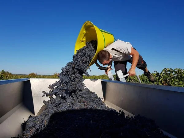 Domaine du Haut Montlong