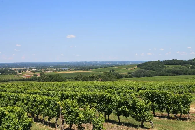 Domaine du Haut Montlong