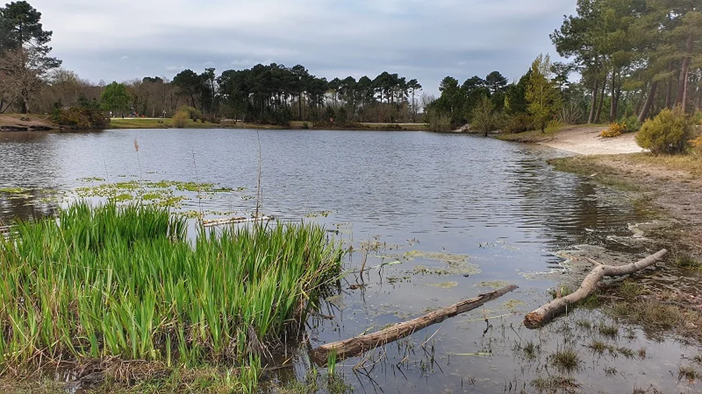 Balade à roulettes : Le bois des sources du Peugue