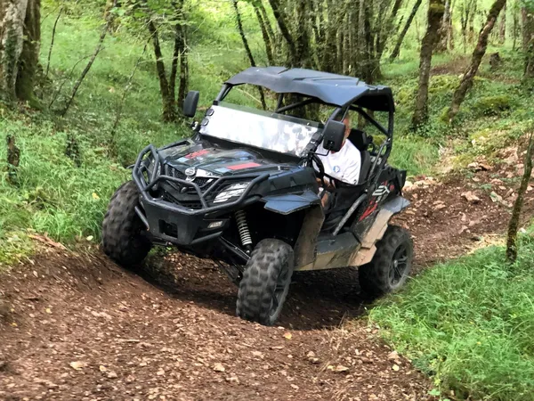 Buggy Rando