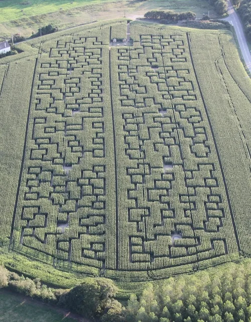 Pop Corn Labyrinthe