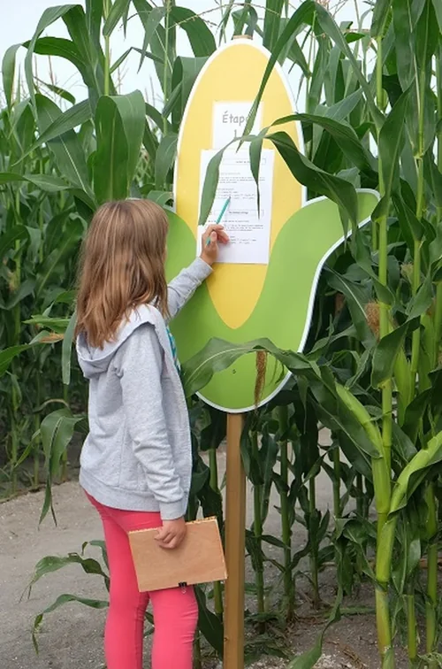Pop Corn Labyrinthe