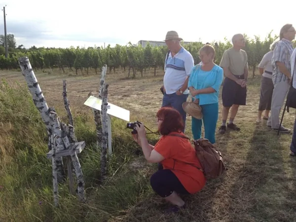 Les Vignerons de Landerrouat - Duras - Cazaugitat