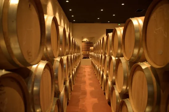 Château Yon-Figeac