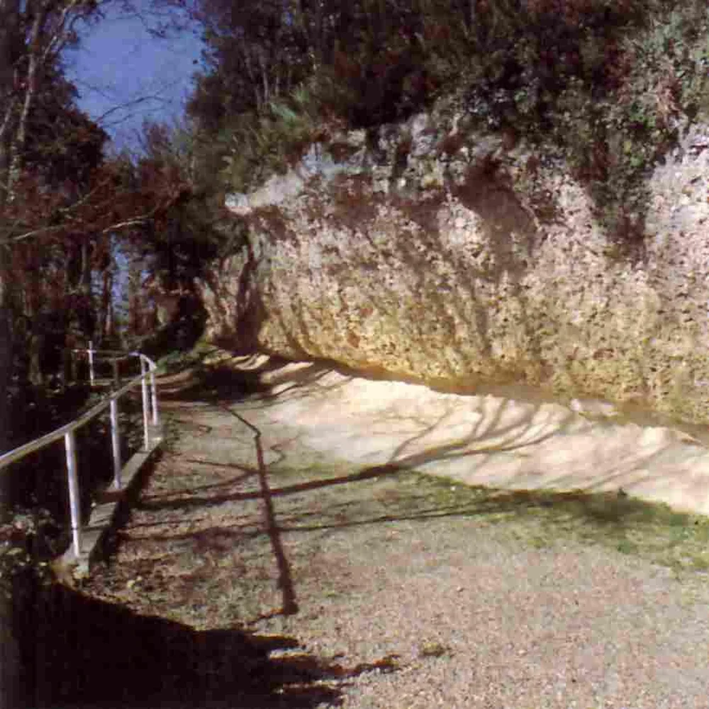 Grottes d'huîtres fossiles