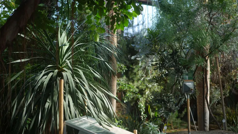 Jardin botanique et ses serres de Bordeaux Bastide