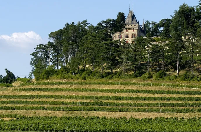 Château de Pressac