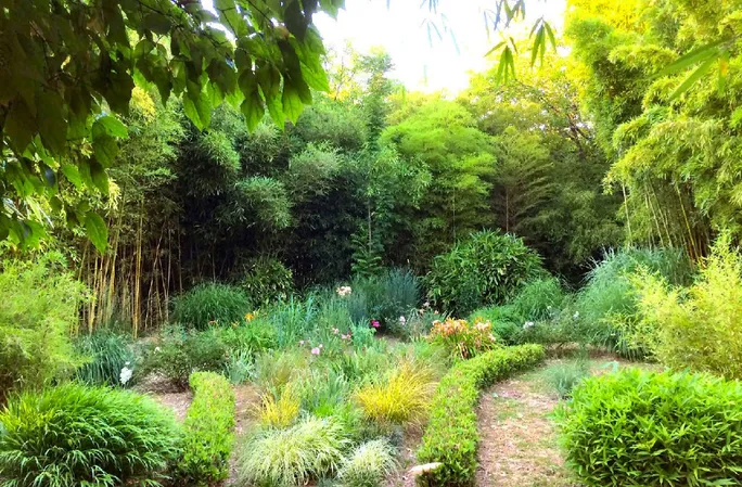Jardin les Bambous de Planbuisson
