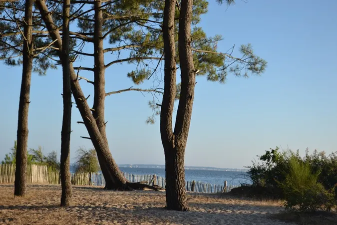 Site naturel des Quinconces
