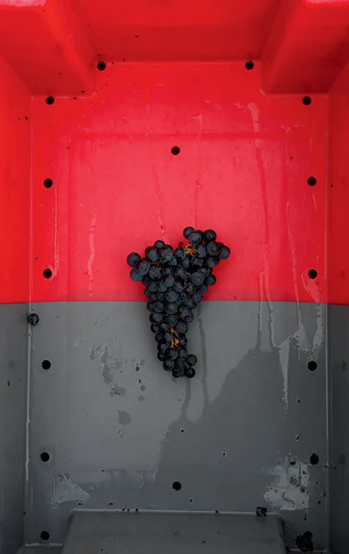 Château Lafon-Rochet