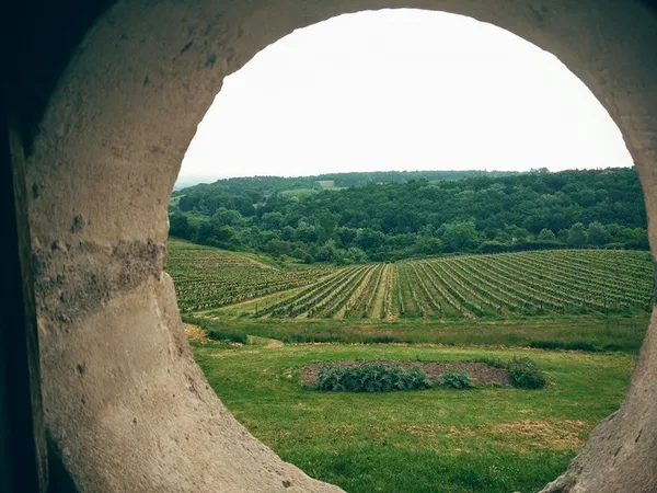 Château le Tap