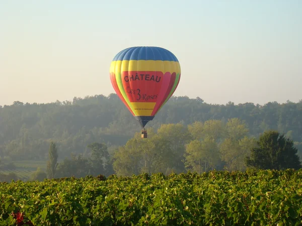 Bordeaux montgolfière - François PONT