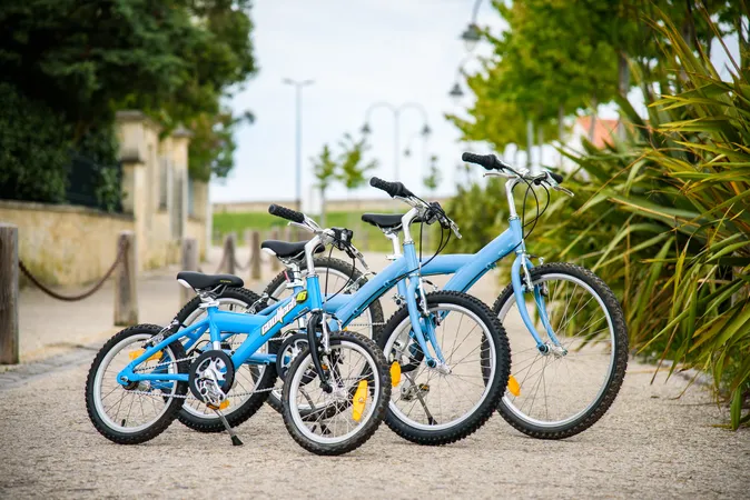 Beach Bikes