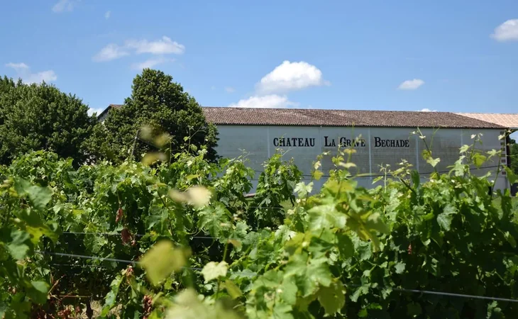 Château La Grave Béchade