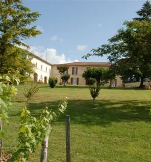 Château Petit Mangot
